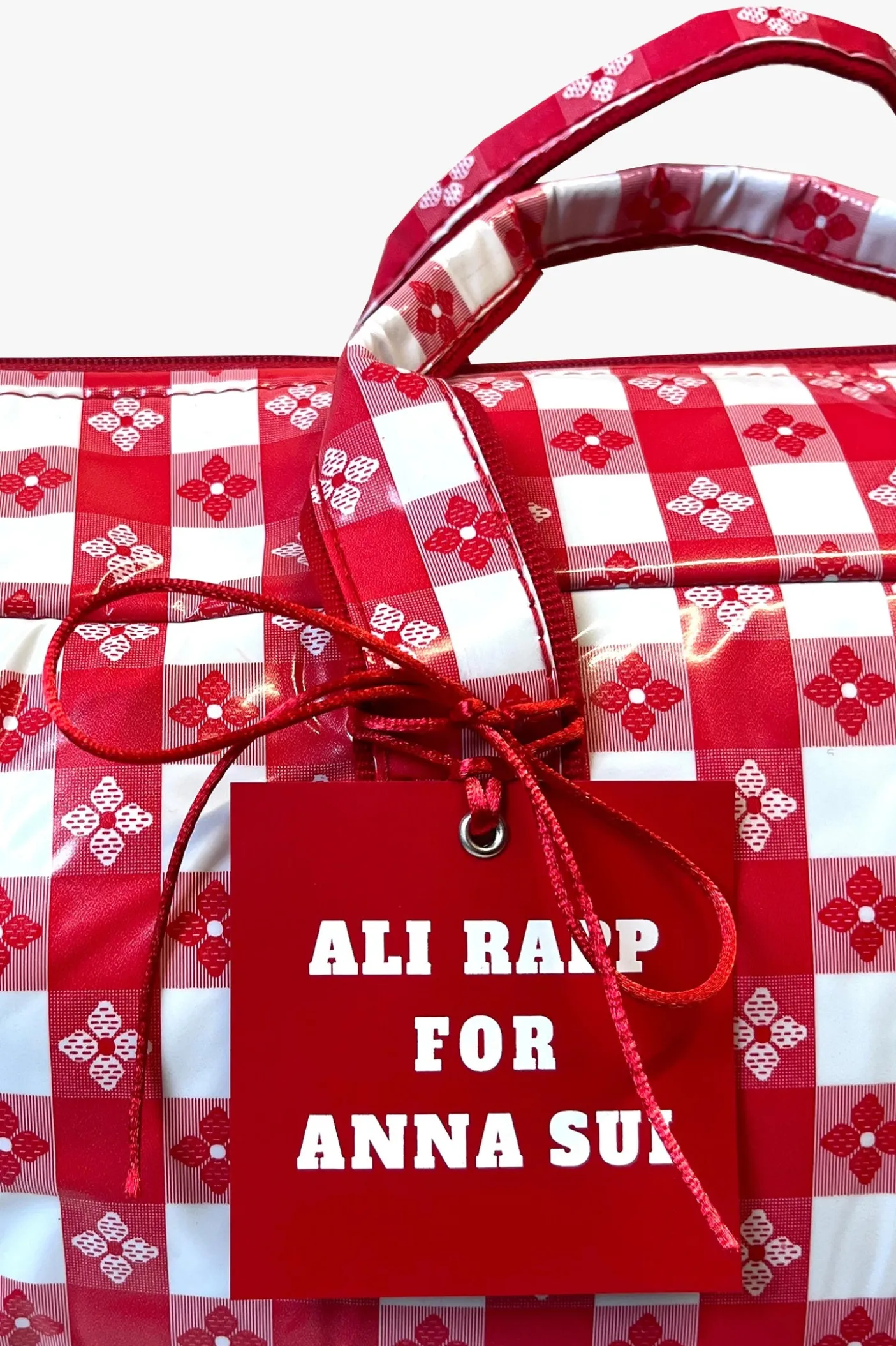 Ali Rapp for Anna Sui Large Summer Picnic