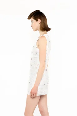 Embroidered Lacey Trellis Mini Dress