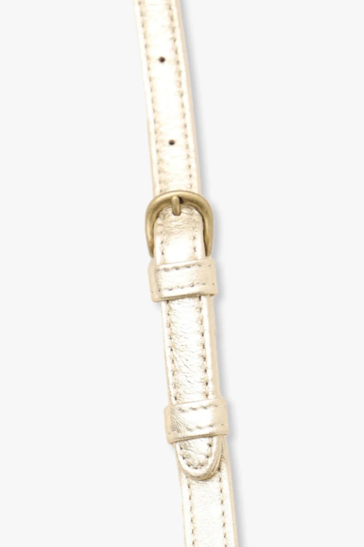 Miniature Chase Crossbody
