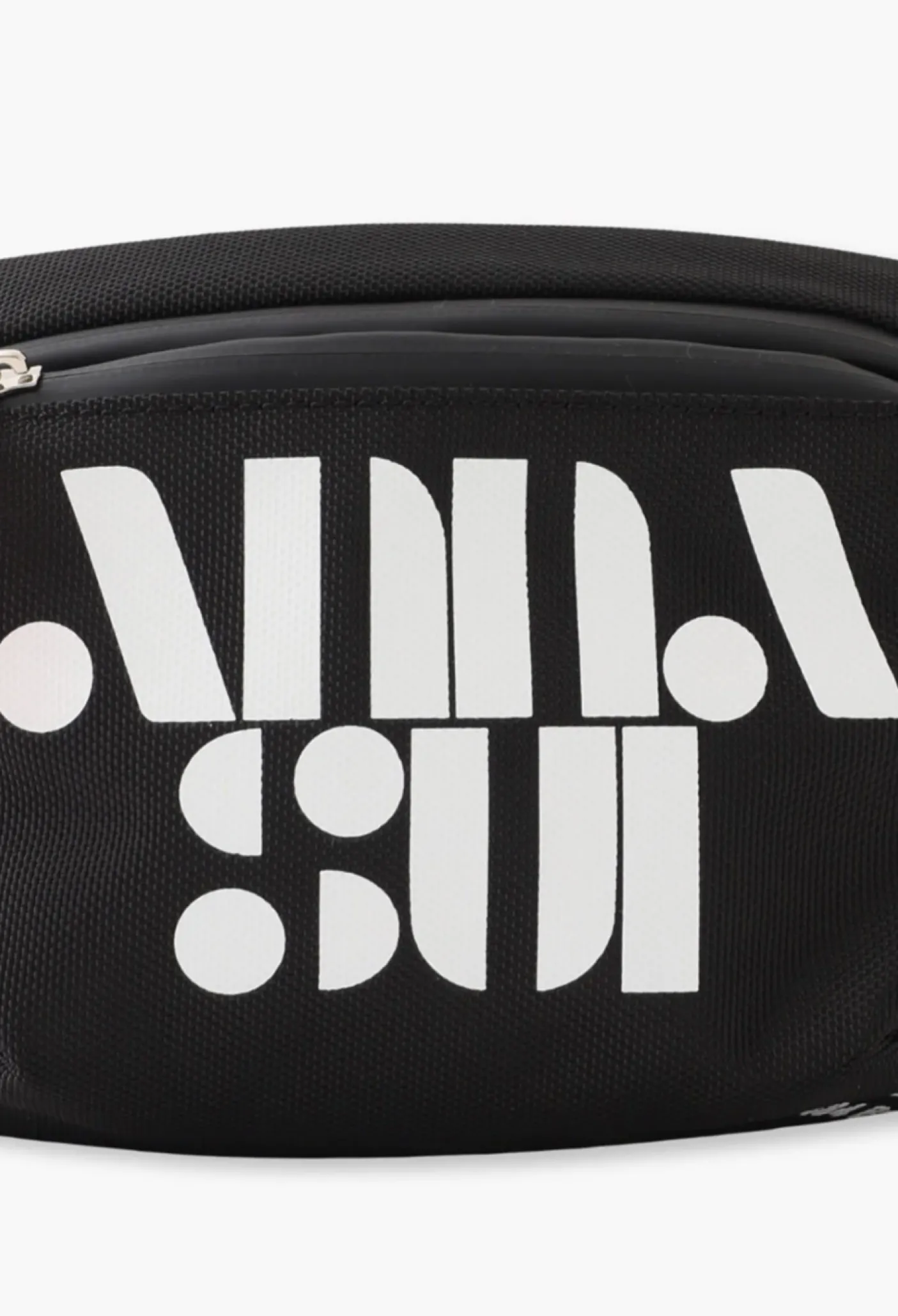 The Anyone Fanny Pack